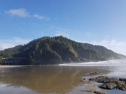 Tourist Attraction «Heceta Head Lighthouse», reviews and photos, 725 Summer St, Florence, OR 97439, USA