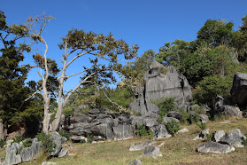 Waro Limestone Scenic Reserve