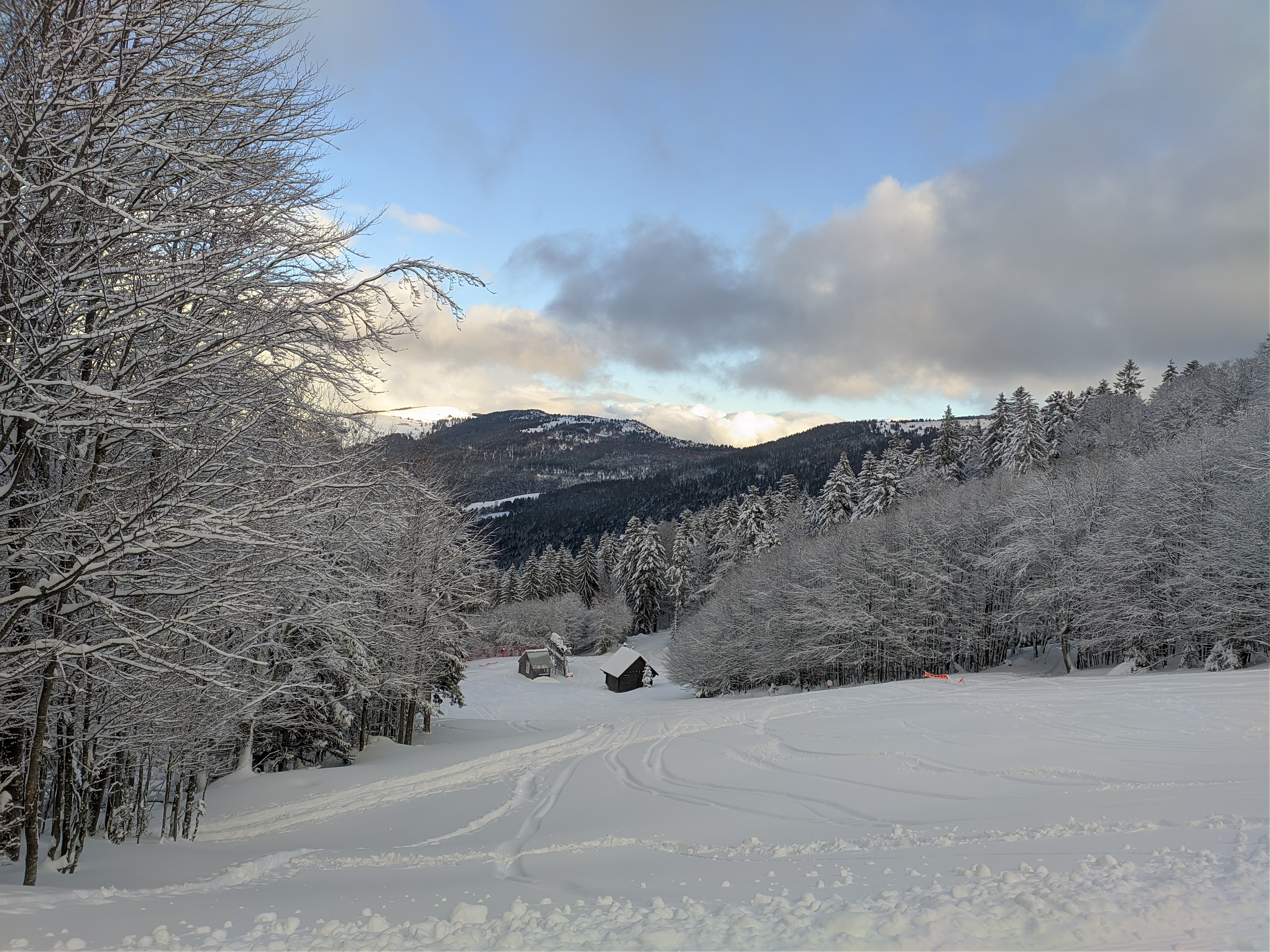 Photo n° 3 de l'avis de Stvn. fait le 31/12/2020 à 07:58