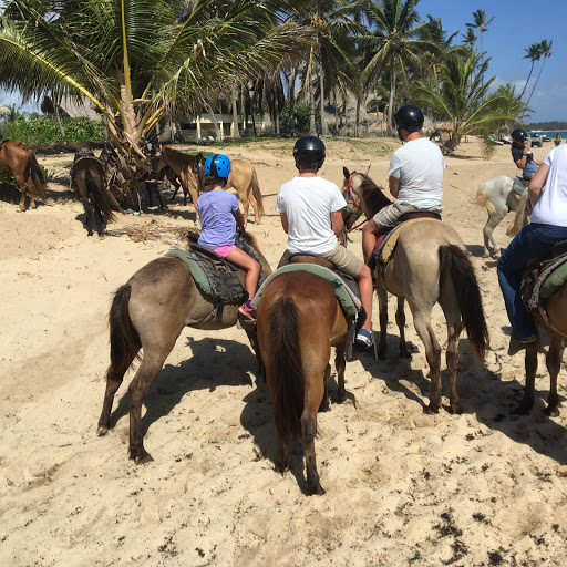 Horse riding nearby Punta Cana