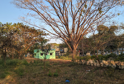 Palwancha Chc Hospital