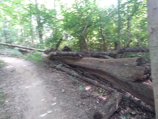 Golf Course «Winding River Golf Course», reviews and photos, 8015 Mann Rd, Indianapolis, IN 46221, USA