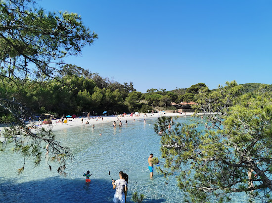 D'Argent Plajı