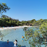 Photo n° 1 de l'avis de cyril.e fait le 29/08/2019 à 09:17 pour Restaurant 'La Plage d'Argent' à Ile de Porquerolles
