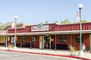 Blackberry Farm - photo 82