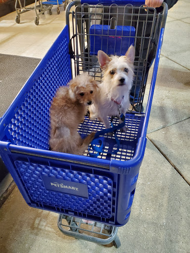 Pet Supply Store «PetSmart», reviews and photos, 1550 Butterfield Rd, Downers Grove, IL 60515, USA