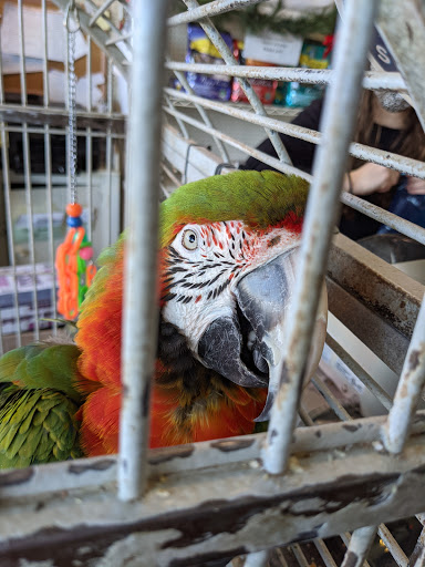 Pet Supply Store «The Village Pet Shoppe, LLC», reviews and photos, 1150 Carlisle St, Hanover, PA 17331, USA