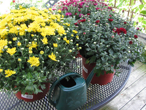 Hardware Store «Minooka Ace Hardware», reviews and photos, 855 S Ridge Rd, Minooka, IL 60447, USA