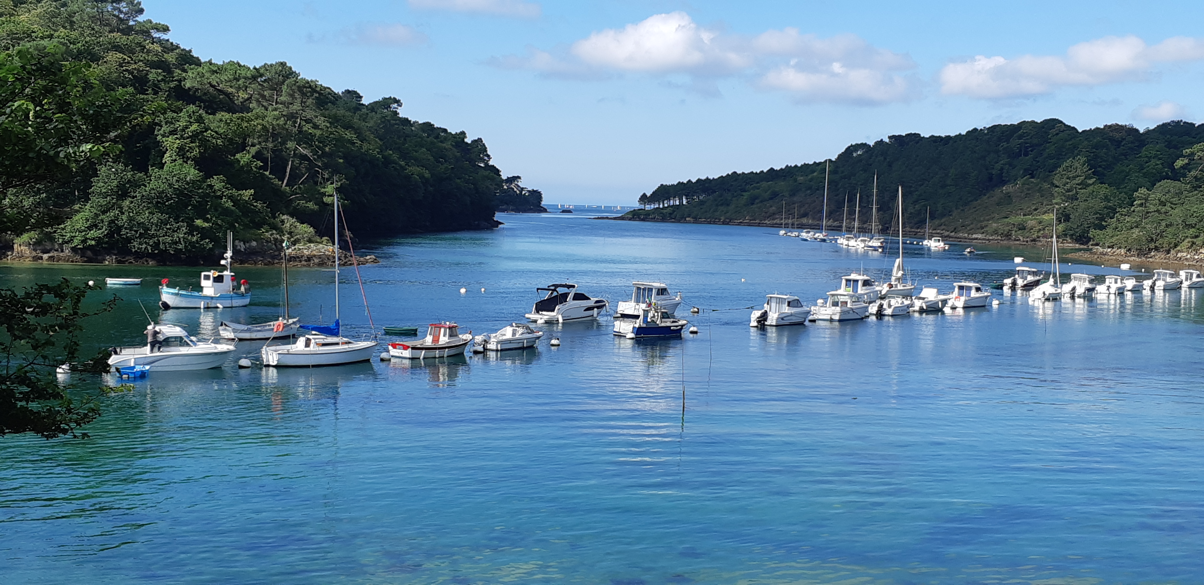 Photo n° 1 de l'avis de Josiane.e fait le 15/07/2021 à 06:37