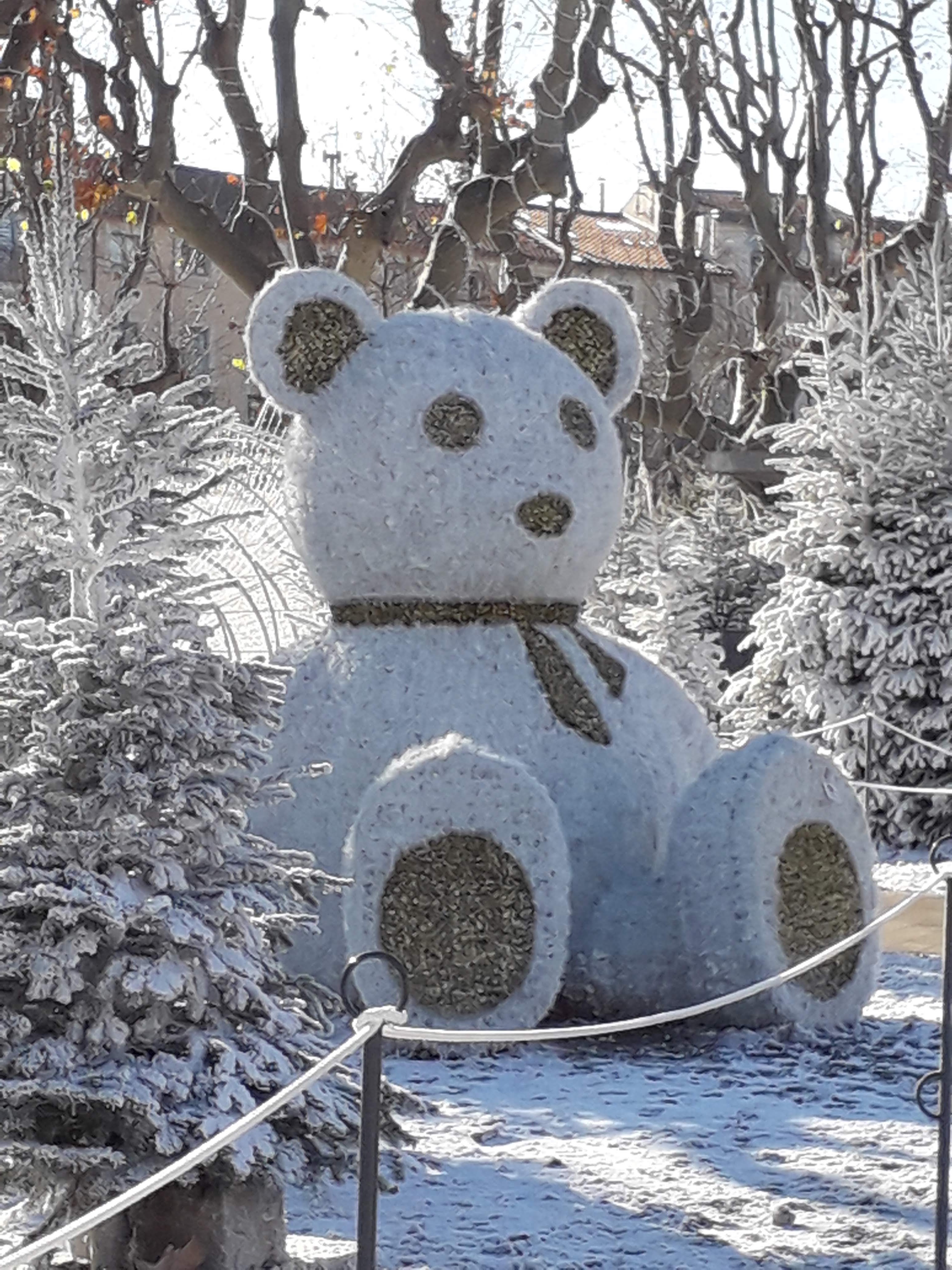 Photo n° 2 de l'avis de Pat.a fait le 11/01/2022 à 16:09