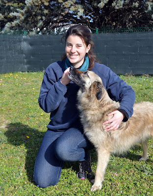 Cecba - Centre éthologique clinique du bien-être animal à Apt