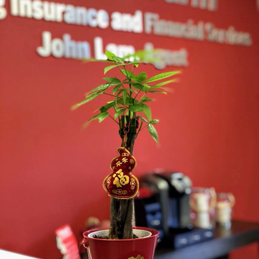 John Lam - State Farm Insurance Agent image