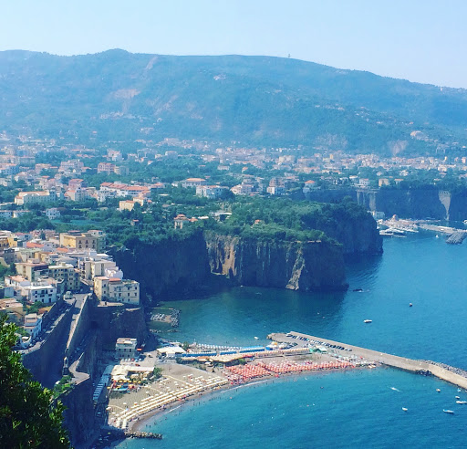 Travel Agency «Cruise Planners - Cruise our way and travel», reviews and photos, 17180 Mallard Ct, Eden Prairie, MN 55346, USA