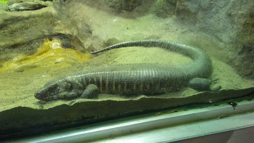 Animal Park «Detroit Zoo Safari Station Exit», reviews and photos, Ludlow Pl, Huntington Woods, MI 48070, USA