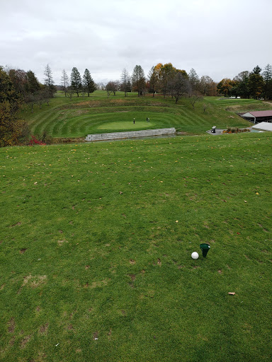 Golf Course «Willow Hollow Golf Course», reviews and photos, 619 Prison Rd, Leesport, PA 19533, USA