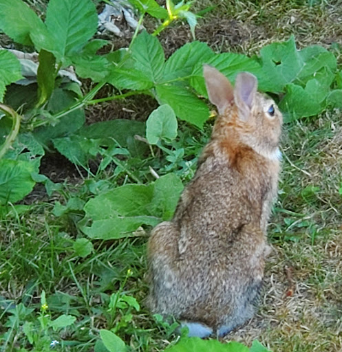 Golf Course «Jefferson Park Golf Course», reviews and photos, 4101 Beacon Ave S, Seattle, WA 98108, USA