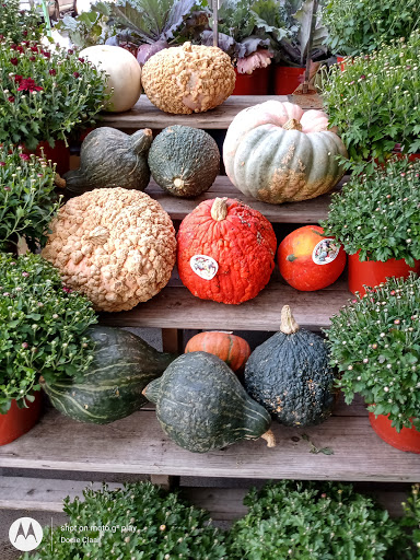 Shopping Mall «North Andover Mall», reviews and photos, 350 Winthrop Ave, North Andover, MA 01845, USA