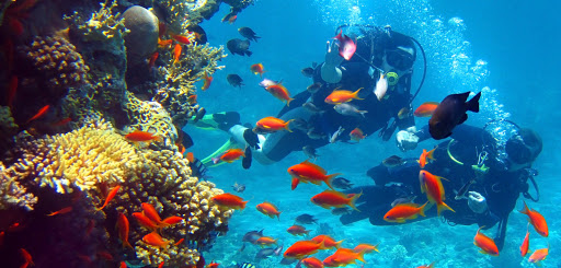 Thailand Divers - Phuket