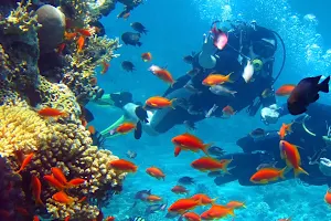 Thailand Divers image