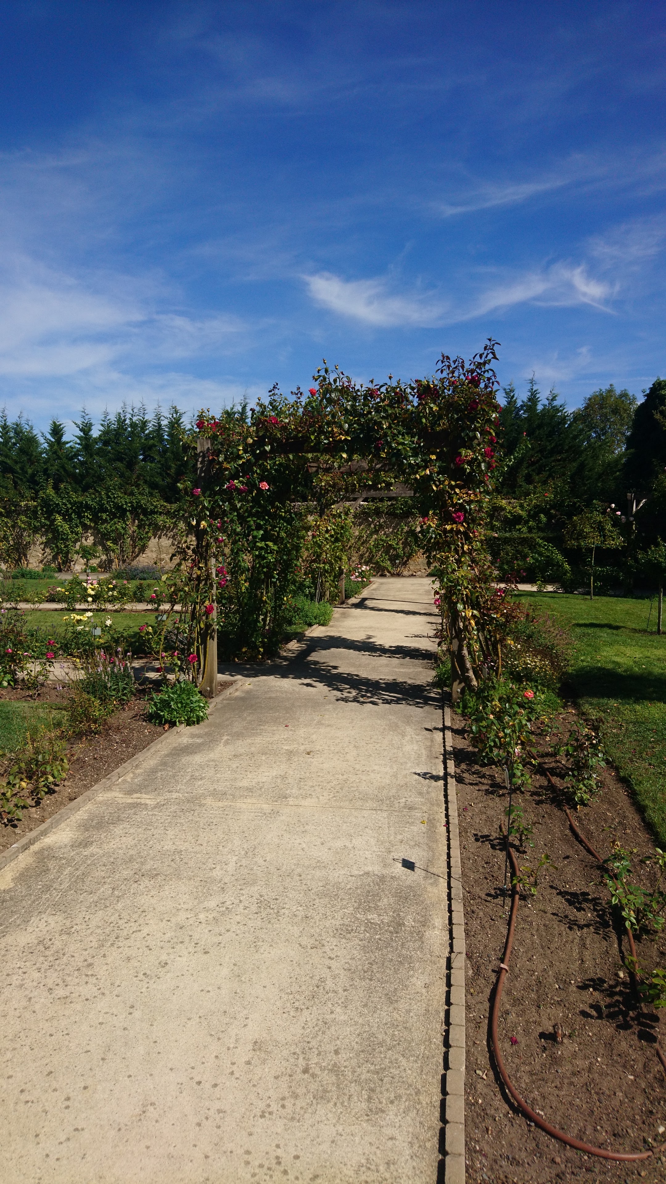 Photo n° 6 de l'avis de david.o fait le 23/08/2019 à 15:25