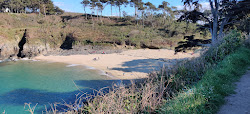 Fotografija Plage du Petit Port z visok stopnjo čistoče