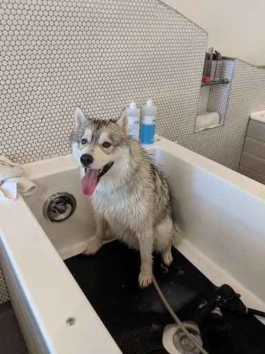 Pet Groomer «Bubbly Paws Dog Wash & Grooming», reviews and photos, 949 Grand Ave, St Paul, MN 55105, USA
