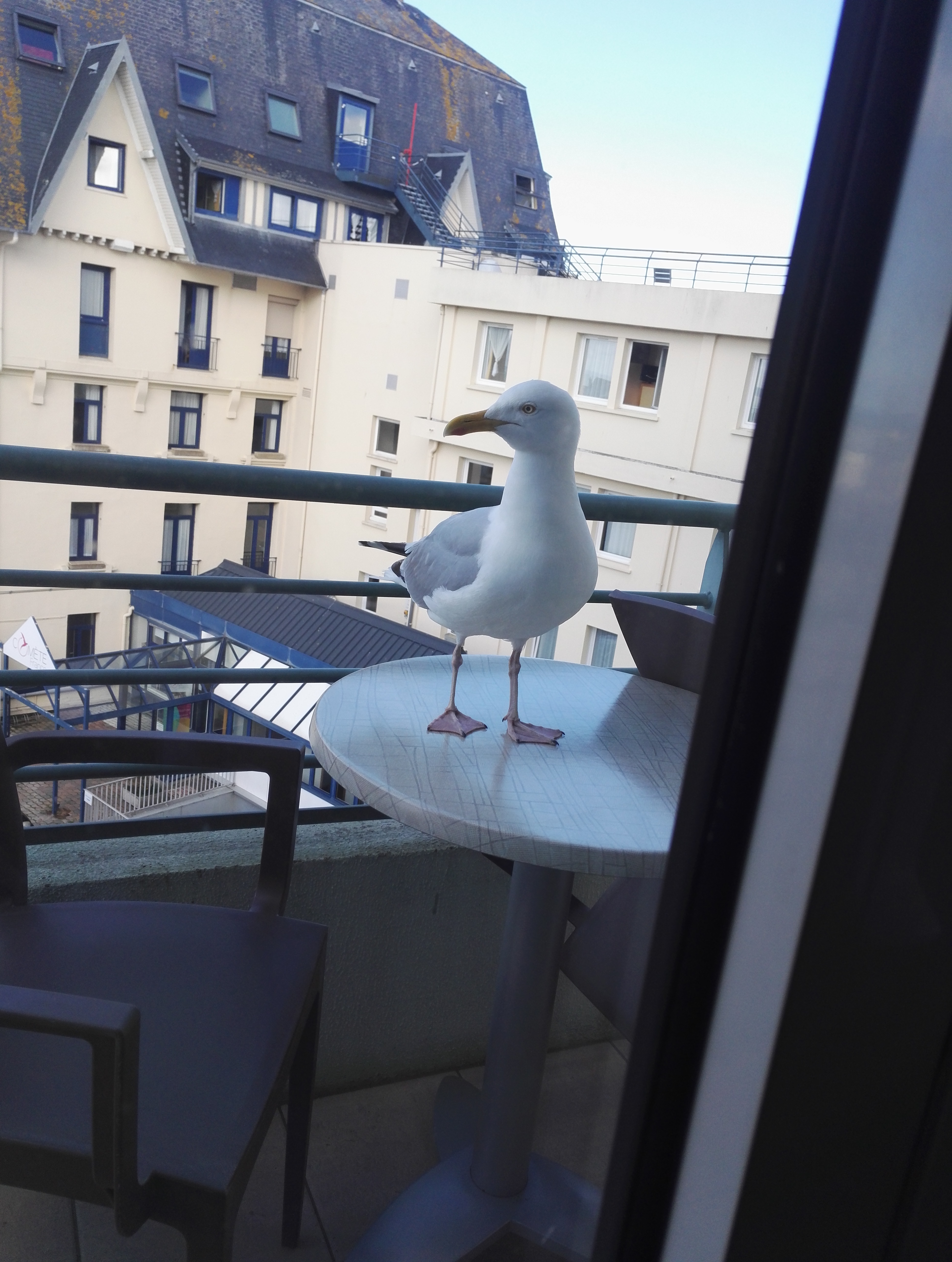 Photo n° 2 de l'avis de Brice. fait le 21/05/2017 à 06:48