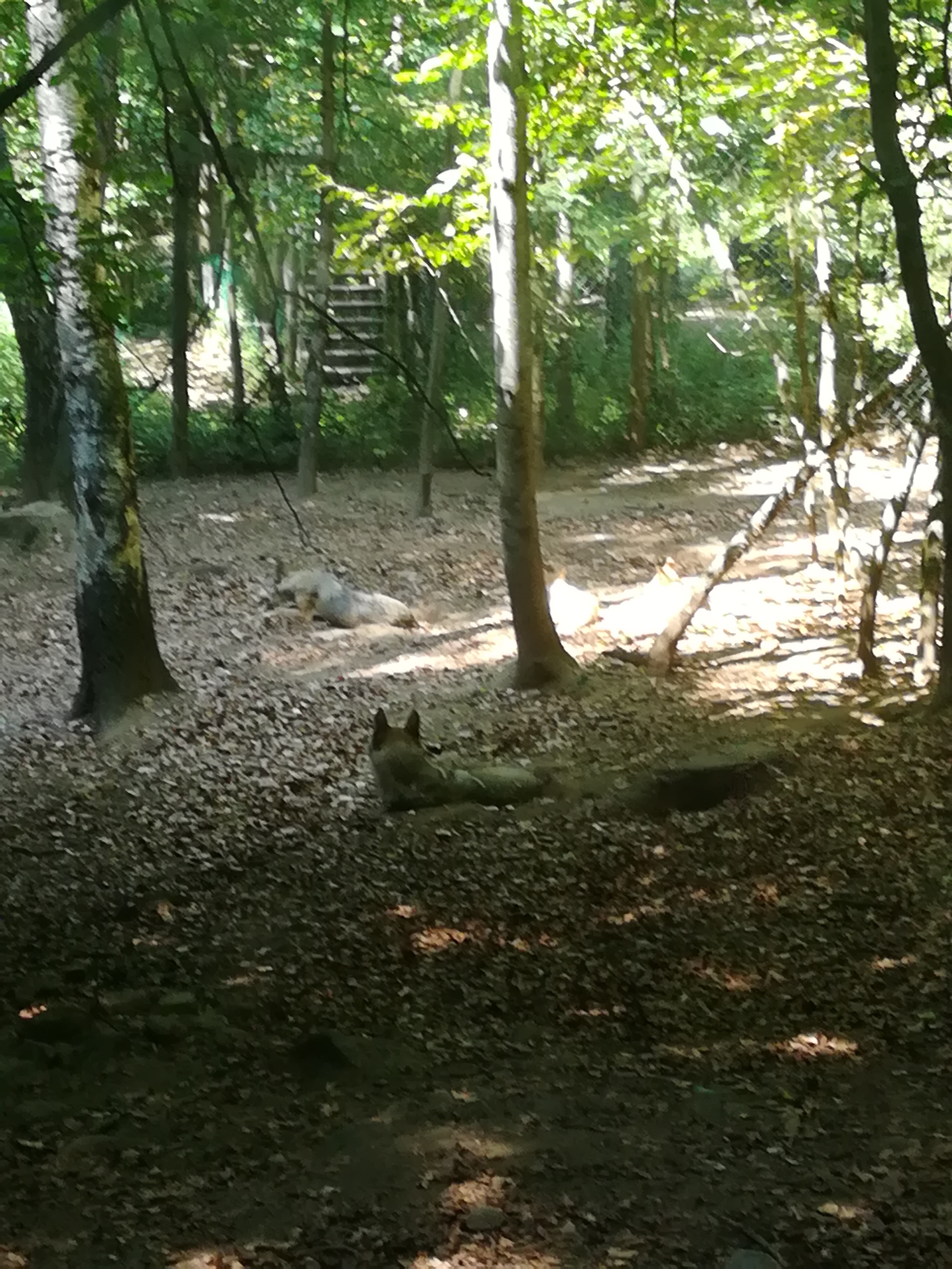 Photo n° 15 de l'avis de Audrey.� fait le 28/07/2017 à 17:11