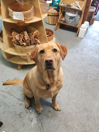 Pet Supply Store «Cheshire Cat & Dog Too», reviews and photos, 1320 Waterbury Rd, Cheshire, CT 06410, USA