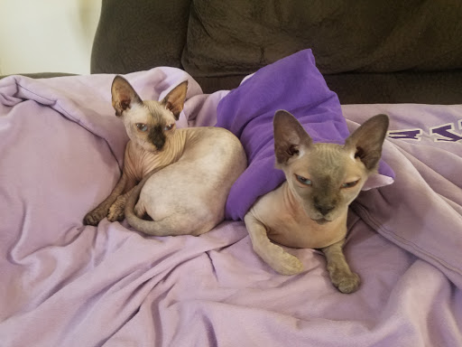 5740 US-1, Vero Beach, FL 32967, USA