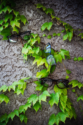 Eye Care Center «Levato Eyewear», reviews and photos, 21 Oak St, Ridgewood, NJ 07450, USA