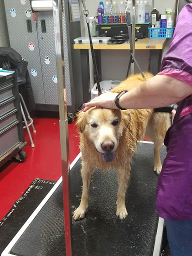 Car Wash «Quick Clean Car & Pet Wash Store, Ltd.», reviews and photos, 2500 Mayfair Rd, Akron, OH 44312, USA