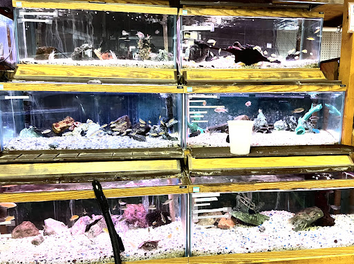 Pet Store «Aqualand Aquarium Center», reviews and photos, 5355 Chicago Ave, Minneapolis, MN 55417, USA