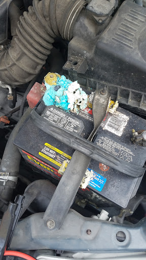 Auto Parts Store «AutoZone», reviews and photos, 6925 US Hwy 98 N, Lakeland, FL 33809, USA