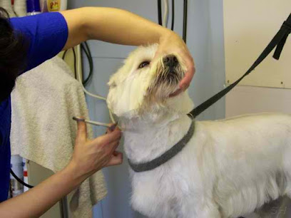 Tail Waggers Pet Grooming