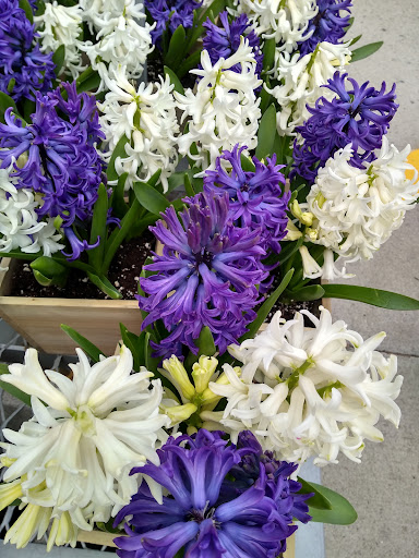 Home Improvement Store «The Home Depot», reviews and photos, 4095 US-1, Monmouth Junction, NJ 08852, USA