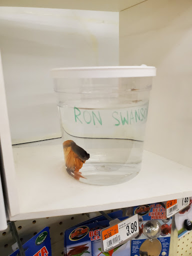 Pet Supply Store «Pet Supplies Plus», reviews and photos, 11054 Lee Hwy, Fairfax, VA 22030, USA