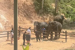 Phuket Elephant Sanctuary Village image