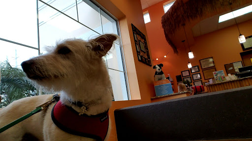 Coastal Animal Medical Center image