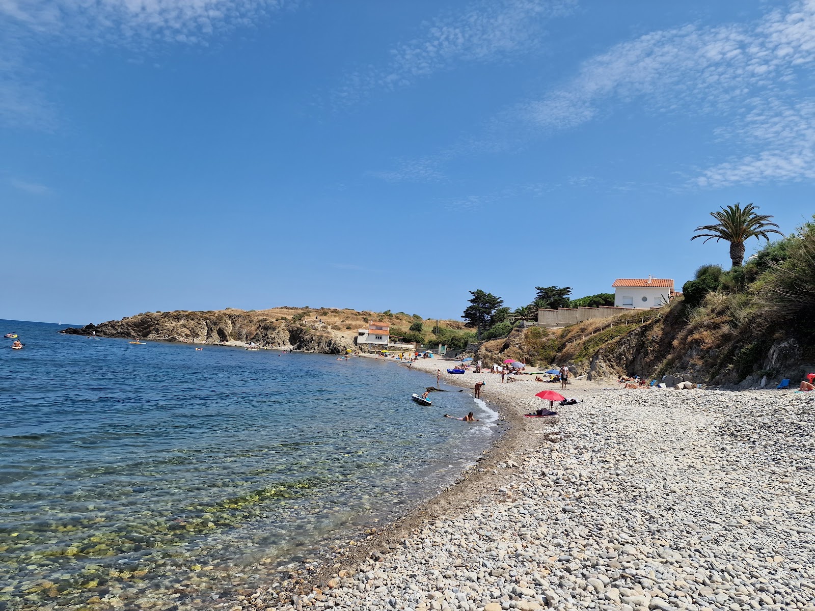 Plage Anse du Portell'in fotoğrafı vahşi alan