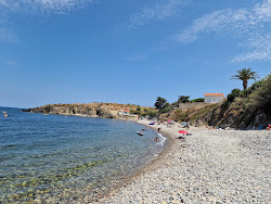 Plage Anse du Portell'in fotoğrafı vahşi alan