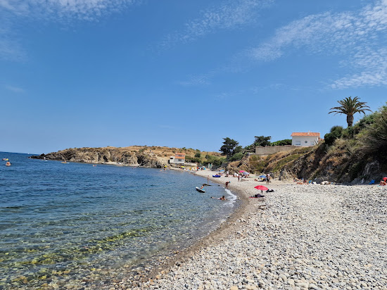 Plage Anse du Portell