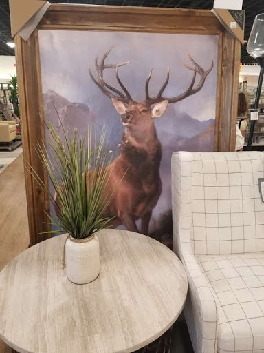 Department Store «T.J. Maxx & HomeGoods», reviews and photos, 20 Court House South Dennis Rd #1, Cape May Court House, NJ 08210, USA