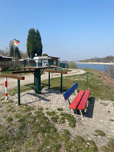 Kiefscher Weiher und Rhein