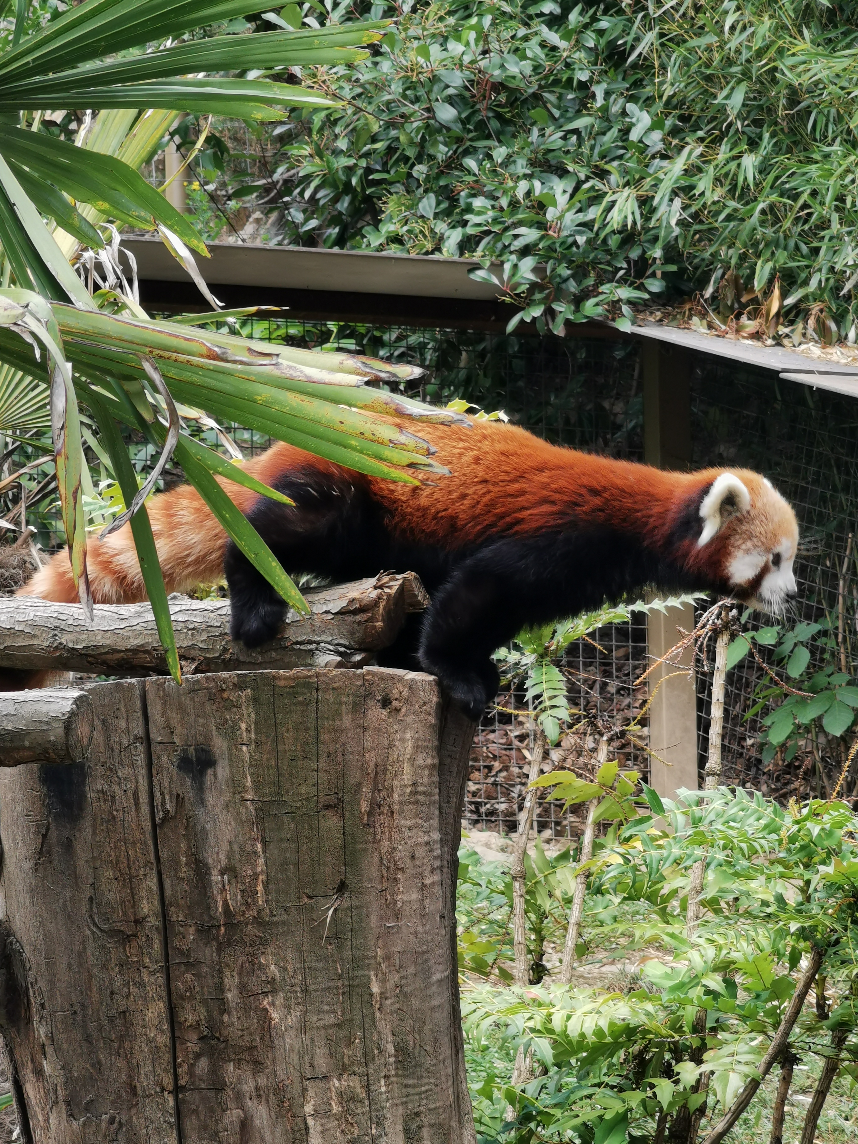 Photo n° 2 de l'avis de Axantiu. fait le 14/03/2021 à 10:18