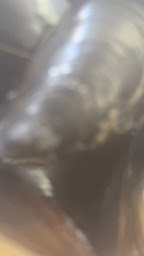 Photo n°88 de L'Embarcadère à Bordeaux ()