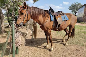 SA HORSE TRAILS image