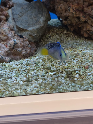 Pet Supply Store «Petco Animal Supplies», reviews and photos, 3194 FM407, Highland Village, TX 75077, USA