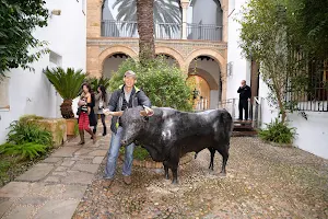 Bullfighting Museum of Cordoba image