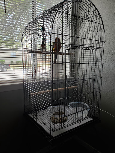 Pet Store «Oasis Tropicals», reviews and photos, 507 Commerce St, Pleasanton, TX 78064, USA